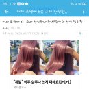 (펌) 흥선대원군 정부의 해외직구 차단에 빡친 포털 개인행동 나서는 중 이미지