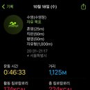 수영-101 네이버블로그