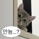 말랑