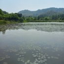 선우미애「그립다」 네이버블로그