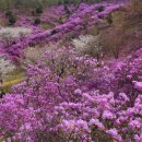 뚝섬한강공원-58 이미지