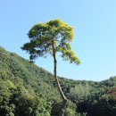 한적2길 이미지