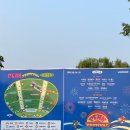 2025 피크페스티벌 PEAK FESTIVAL 일요일(5/25) 후기