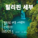 콘수엘로 | 2026 완벽 총정리 필리핀 세부 여행지 추천 BEST 5