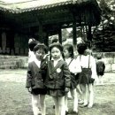 성광유치원 Daum카페
