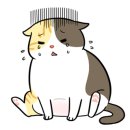 깔끔이이모 이미지