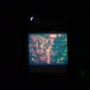 천지연스파월드 이미지