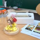 부산중앙여자중학교 이미지