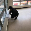 본주짓수동탄 네이버블로그