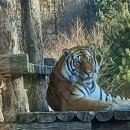 우크 이미지