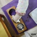 GR(서천군)-[서천로]-상-22 | 사랑해요 낙원가든