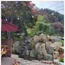 화천풀펜션 메타875 이미지