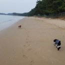 해랑방1 이미지