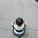 붕붕카프라자 | 경기 광주 베이비 키즈카페, 태전동 허니버디 방문 후기 / 돌 이전 아가들에게 추천...