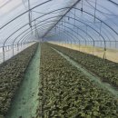 청통농장 이미지