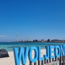 제주김녕한달 이미지