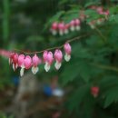 갱이농장 이미지