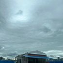 용문농협 주유소 이미지