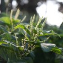 내도마을 이미지