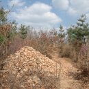 중앙우회로 이미지