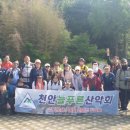 두정산성 Daum카페