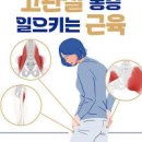 고관절 통증 있을때 원인 이미지