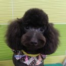 동래종합동물병원 이미지