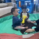 행꼬(행복한 꼬마 거북이) 이미지