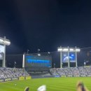 빛이나개 이미지