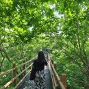 가마솥에누룽지 이미지