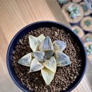 호반농장 이미지