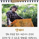 전교농장 이미지