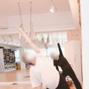 바른체형요가A 이미지