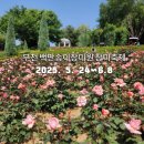 춘의밥상 | 2025 부천백만송이 장미축제 기본정보 장미원 개화시기 주차 한눈에!