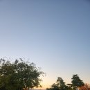 영천CC | 경상북도 오션힐스 영천cc 라운딩 후기