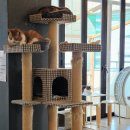 별이랑 놀자 이미지