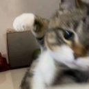 WR(서울특별시 강동구)-[양재대로]-하-54 | 노잼 8월