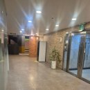 스타 골프 아카데미 | 잠실골프 QED골프아카데미 잠실점에 다녀온 후기예요