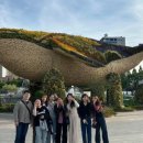 화목한치과의원 네이버블로그