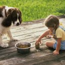 츄츄동물병원 이미지