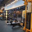 반 휘트니스 이미지