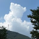 펜션 다알리아 | 양평 여행 | 유명산자연휴양림 | 양평 계곡 펜션 다알리아 | 어비계곡 물놀이 | 순례자들과 여름휴가 막차