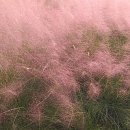 산호빛공원(2) 이미지