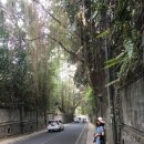 코끼리카써비스 이미지