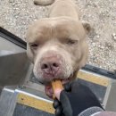 간식이모 이미지