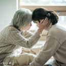 하루라이브 이미지