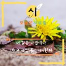 고은과수원