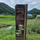 대광천(1) | 울진 금강소나무 숲길 1구간 [보부상길] 트레킹 &amp; 망향정 일출""