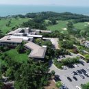 파인비치 이미지