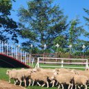 홍길동목장 이미지